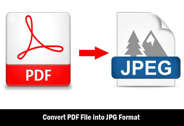 PDF to JPG