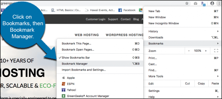 Bookmarks in Google Chrome