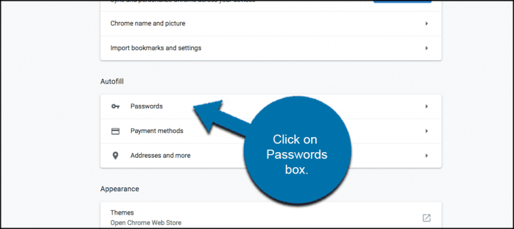 Saved Passwords in Google Chrome