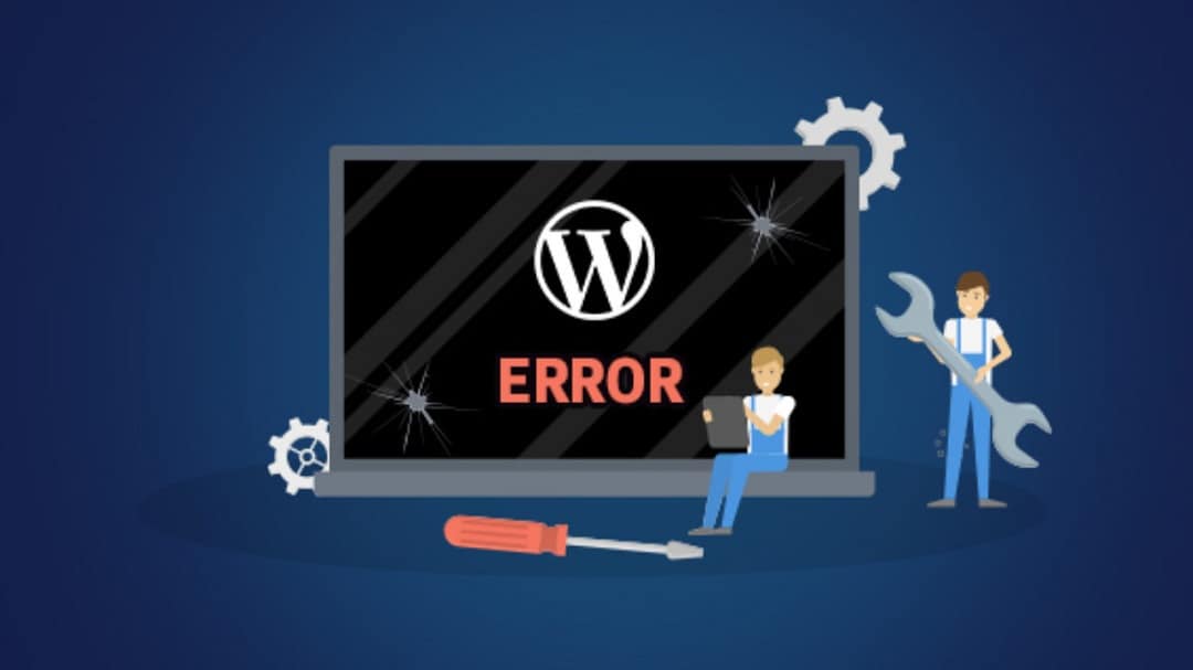 WordPress Errors