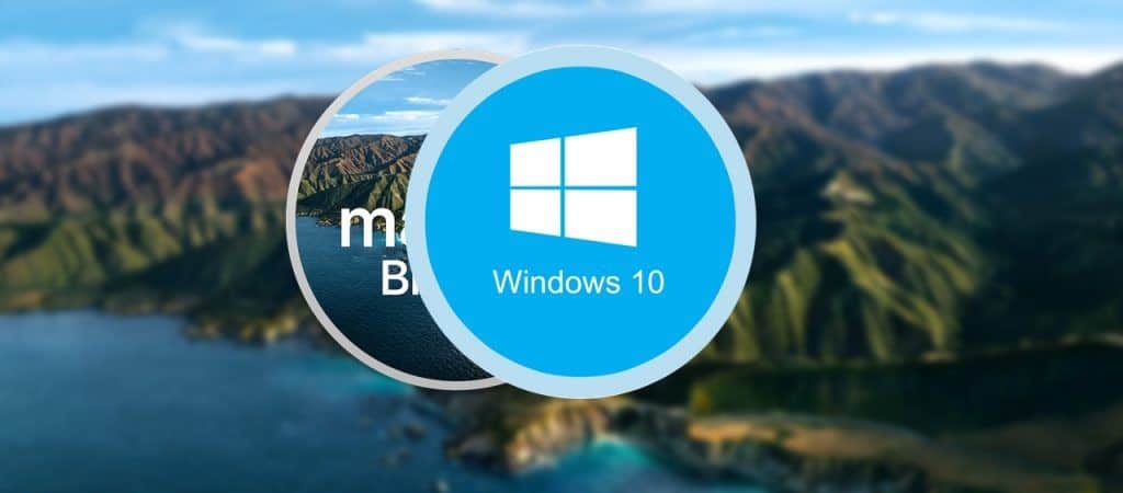 MacOS Big Sur vs Windows 10