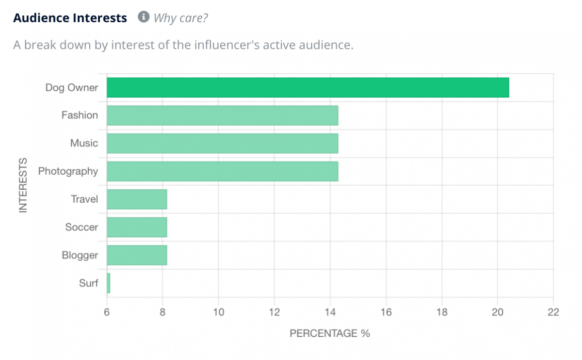 Successful Influencer Marketing Campaign