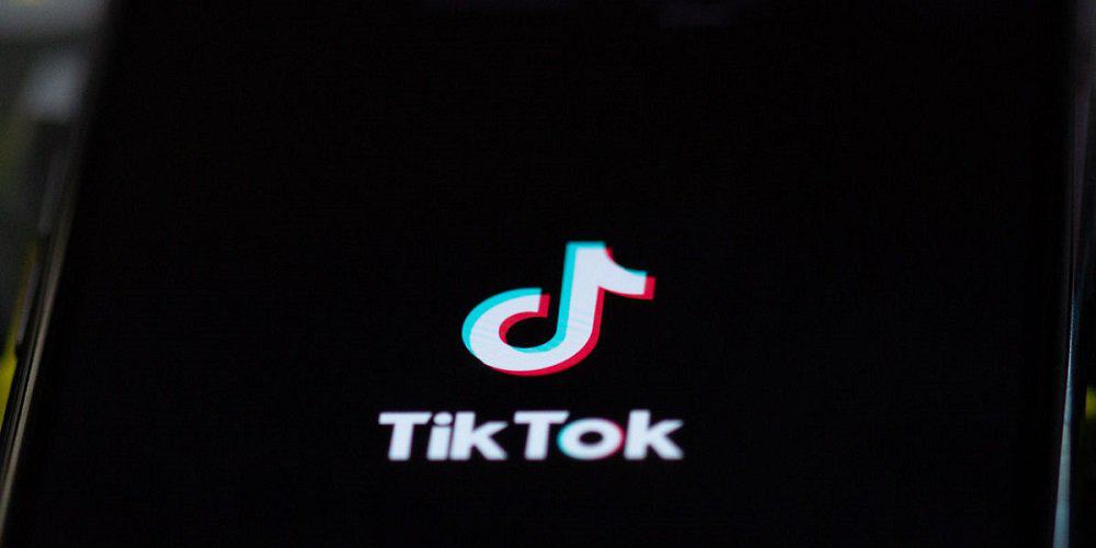 TikTok Video Downloader