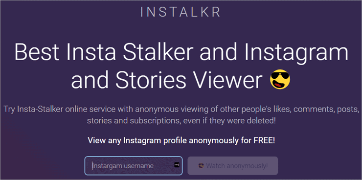 Instagram Story Viewer